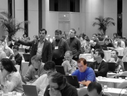 Rotan Hanrahan at W3C TP 2004